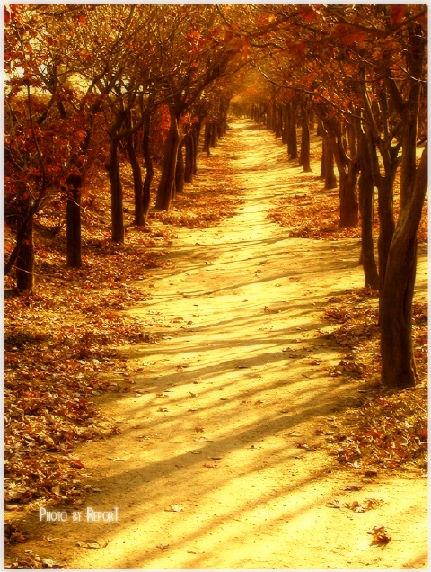 ����ũ��� ����