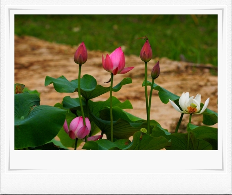 ����ũ��� ����