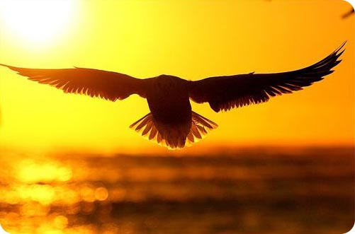 ����ũ��� ����