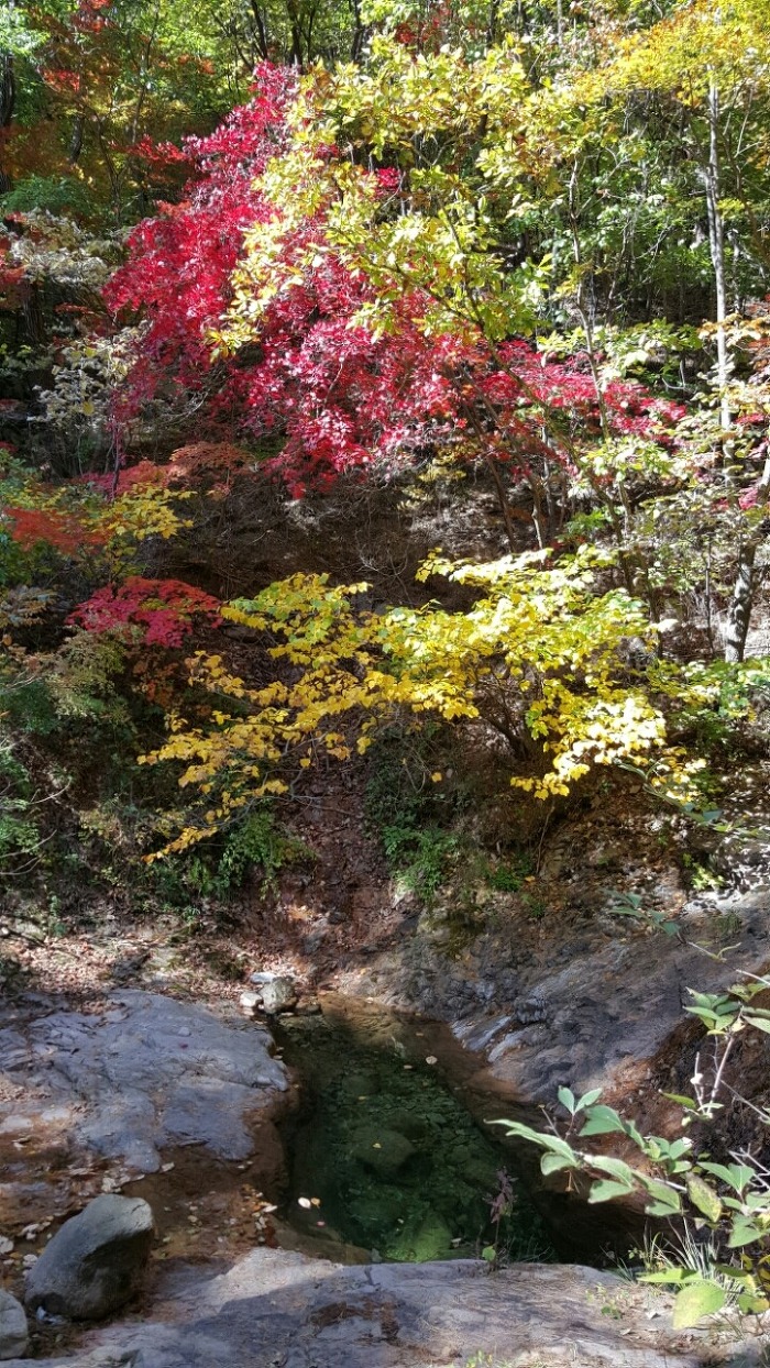 ����ũ��� ����