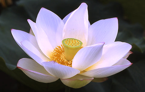 ����ũ��� ����