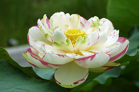 ����ũ��� ����