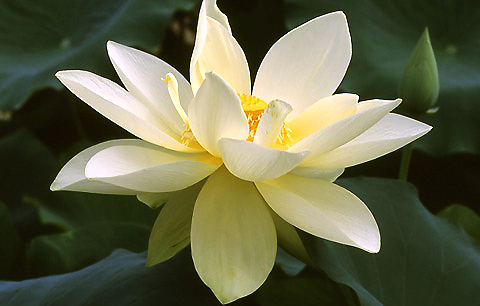 ����ũ��� ����