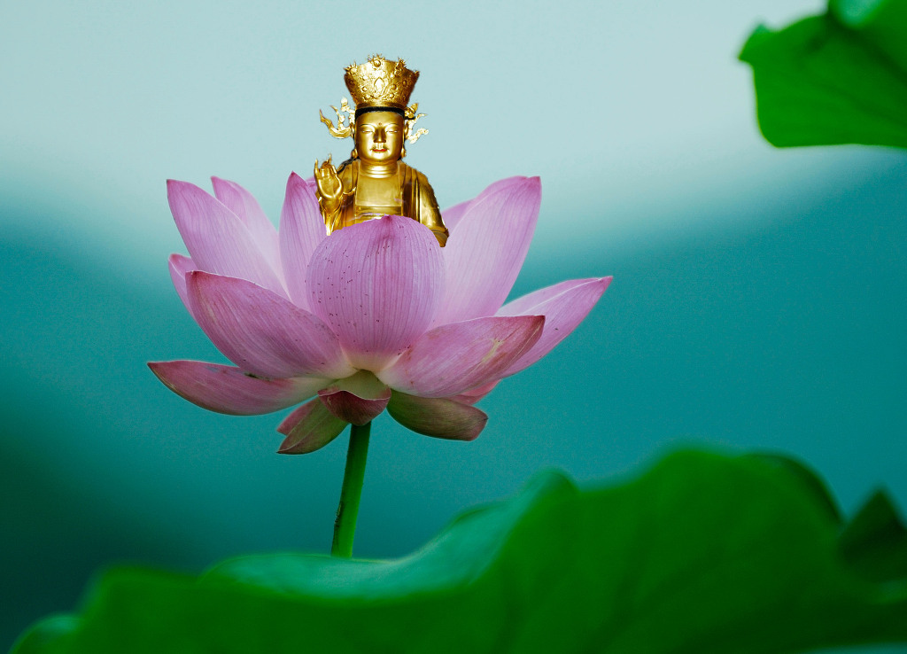 ����ũ��� ����