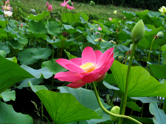 ����ũ��� ����