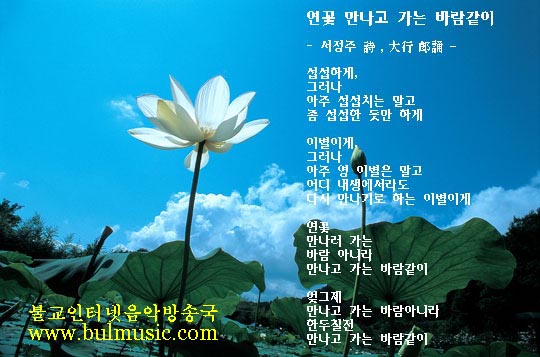 ����ũ��� ����