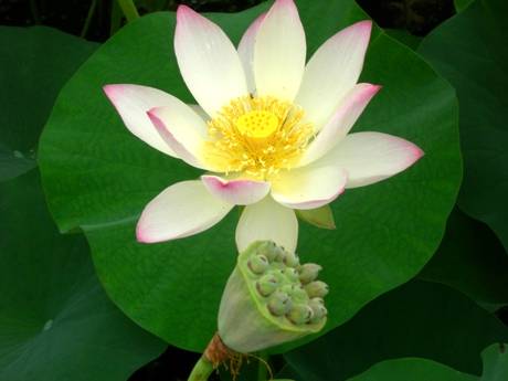 ����ũ��� ����