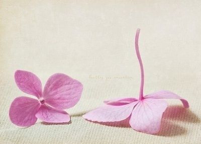 ����ũ��� ����