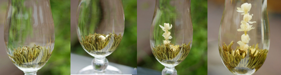 ����ũ��� ����