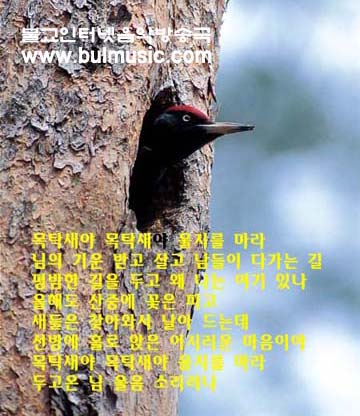 ����ũ��� ����