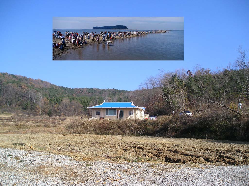 ����ũ��� ����