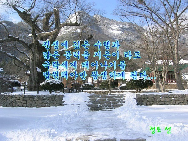 ����ũ��� ����