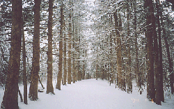 ����ũ��� ����