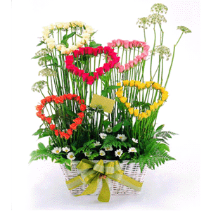 ����ũ��� ����