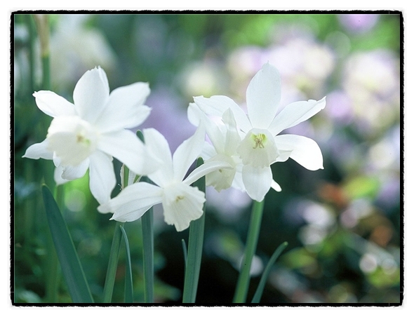 ����ũ��� ����