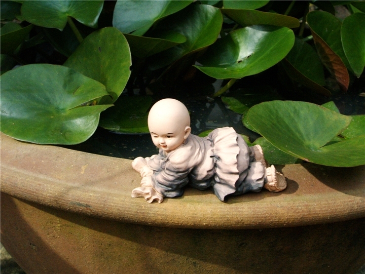 ����ũ��� ����