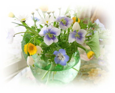 ����ũ��� ����