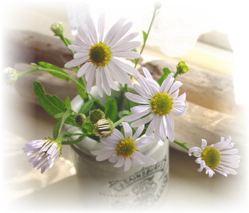 ����ũ��� ����