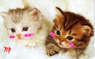 ����ũ��� ����