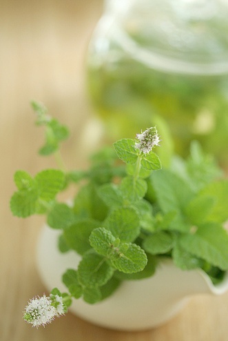 ����ũ��� ����