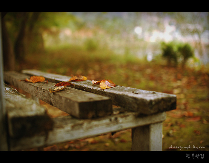 ����ũ��� ����