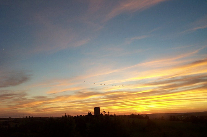 ����ũ��� ����