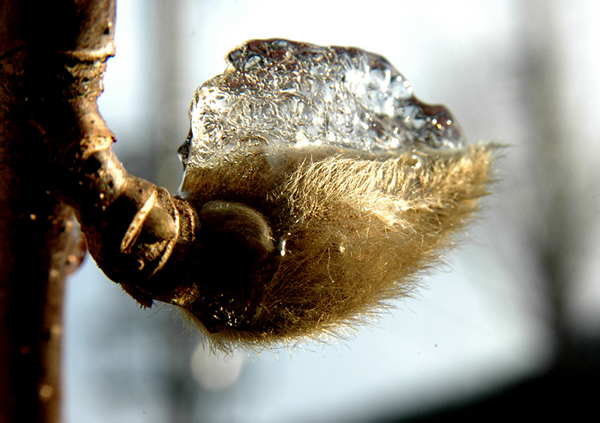 ����ũ��� ����