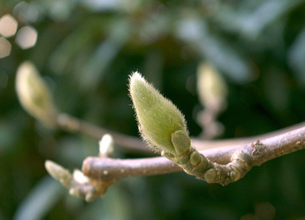 ����ũ��� ����