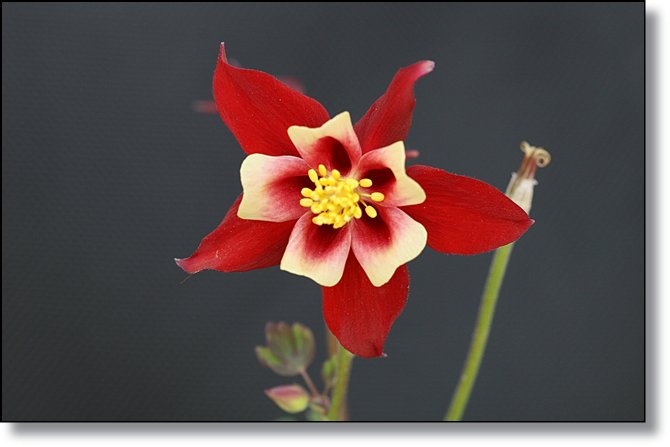 ����ũ��� ����