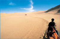 ����ũ��� ����