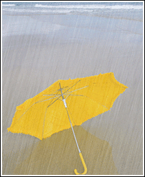 ����ũ��� ����