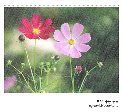 ����ũ��� ����