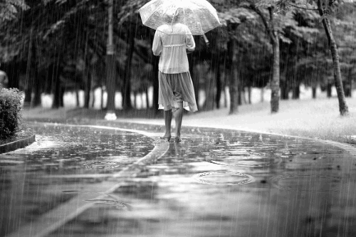 ����ũ��� ����