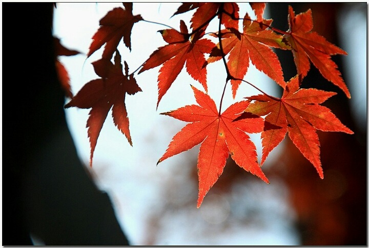 ����ũ��� ����