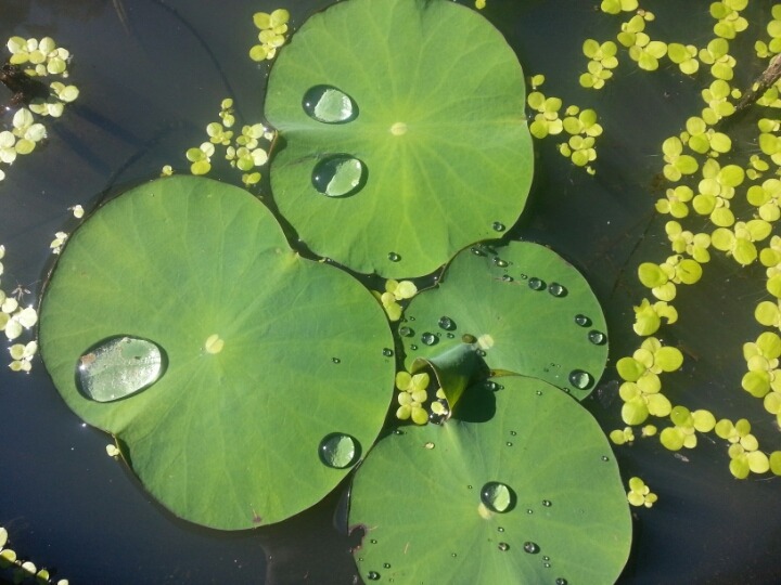 ����ũ��� ����