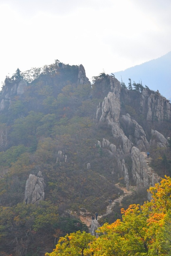 ����ũ��� ����