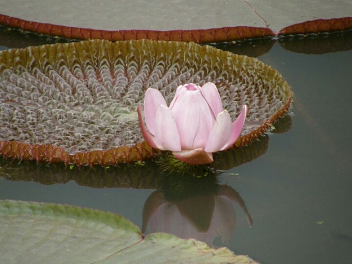 ����ũ��� ����