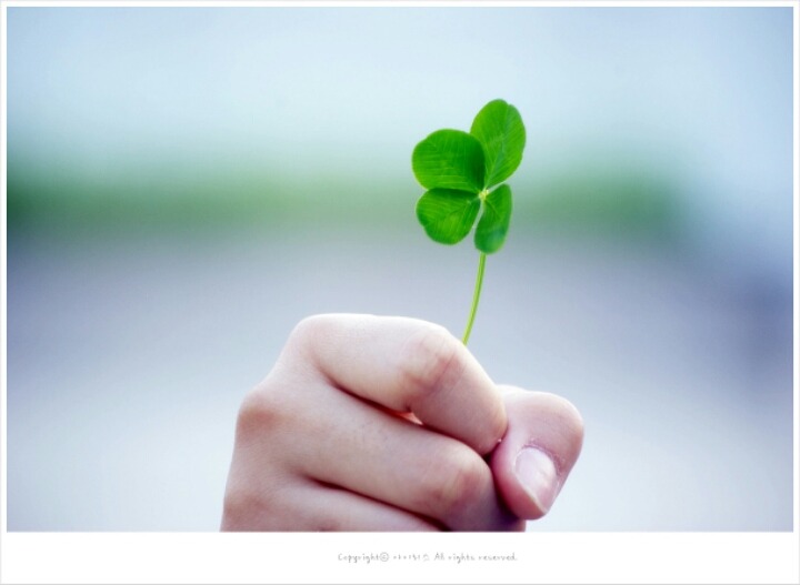 ����ũ��� ����