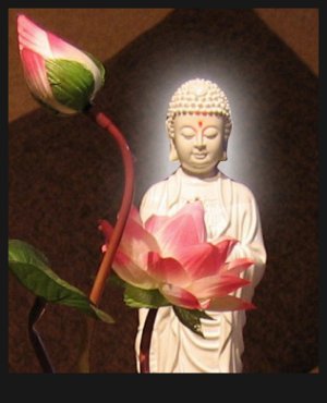 ����ũ��� ����