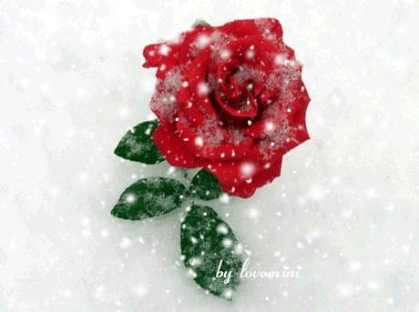 ����ũ��� ����