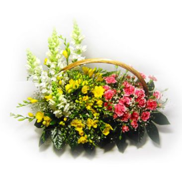 ����ũ��� ����