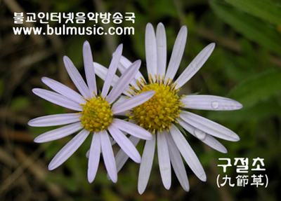 ����ũ��� ����