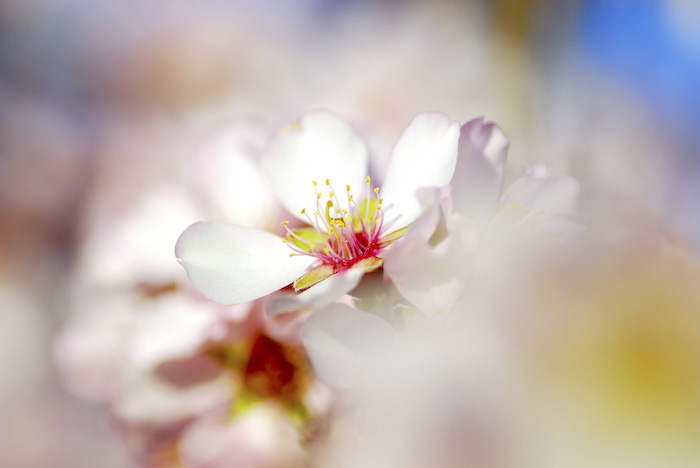 ����ũ��� ����