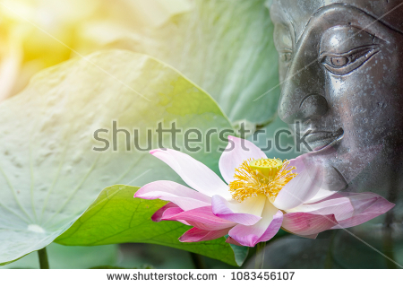 ����ũ��� ����