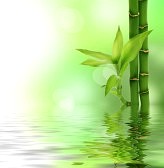 ����ũ��� ����