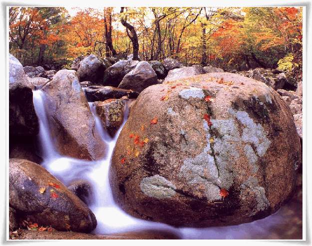 ����ũ��� ����