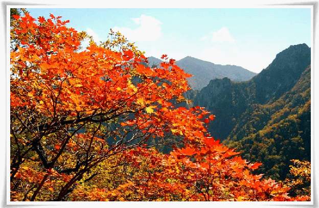 ����ũ��� ����