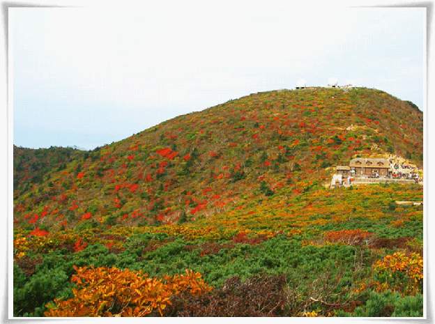 ����ũ��� ����