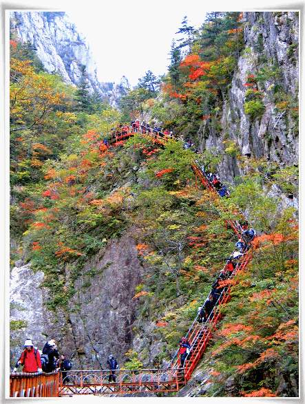 ����ũ��� ����