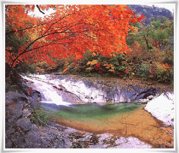 ����ũ��� ����